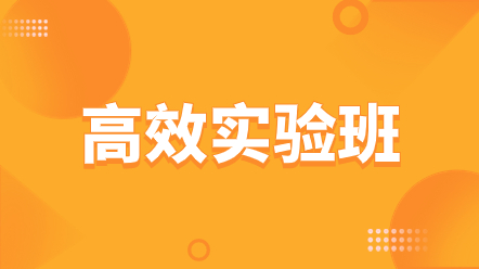 一级造价师高效实验班